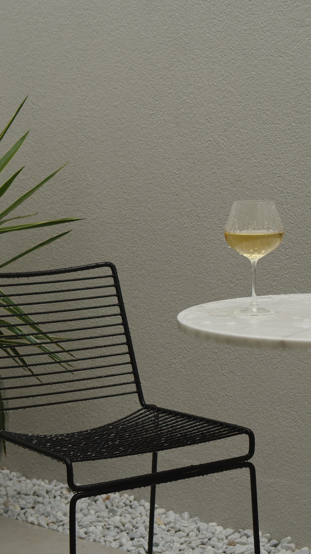 kaboompics-shop_stock-video_minimalist-outdoor-elegance_003_COVER